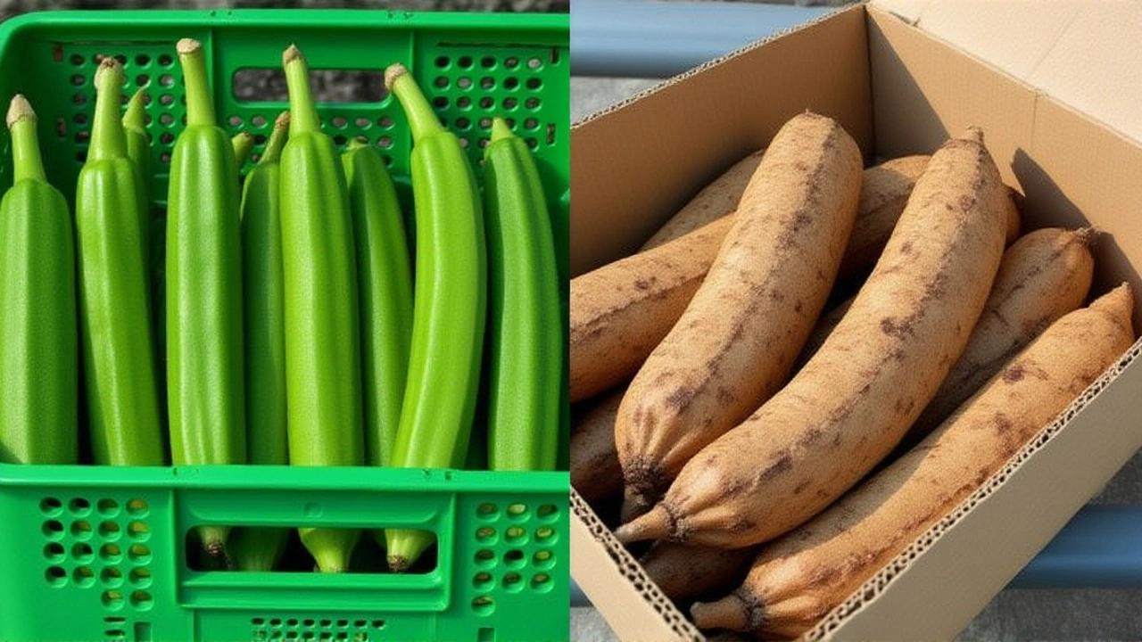 What This Means for CONCACAF’s Future